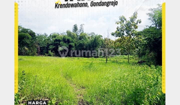 Wide Land, Affordable Price, Suitable for Investment, Gondangrejo Location.