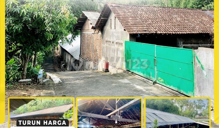 Ruang Usaha di Ampel Boyolali Luas 1500M Cocok untuk Usaha Ternak