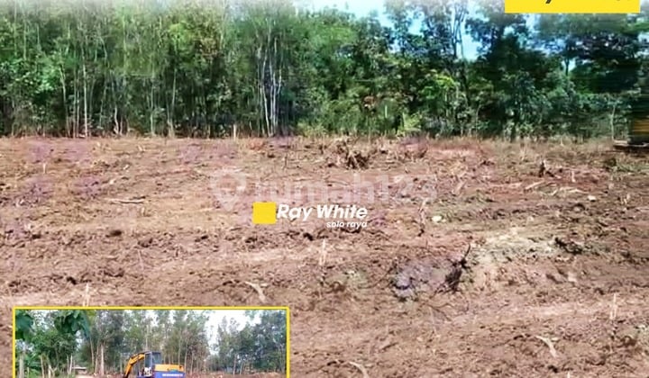 Tanah Pekarangan di Nguter Dijual Harga Murah Cocok untuk Invest