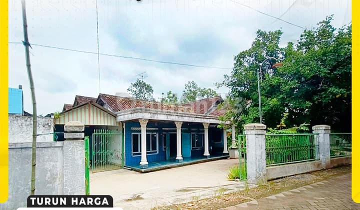 Rumah di Ngrambe Ngawi Luas 1575M Halaman Luas bisa untuk Kost