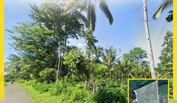 Tanah Perkebunan Buah di Magelang Dijual Harga Murah