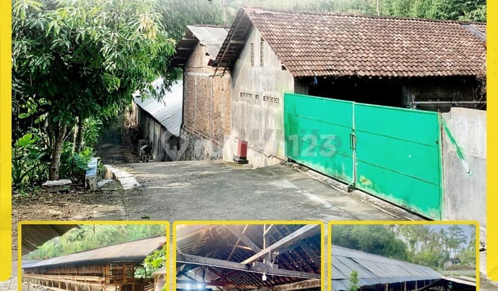 Dijual Ruang Usaha Di Ampel Boyolali Cocok Untuk Usaha Ternak