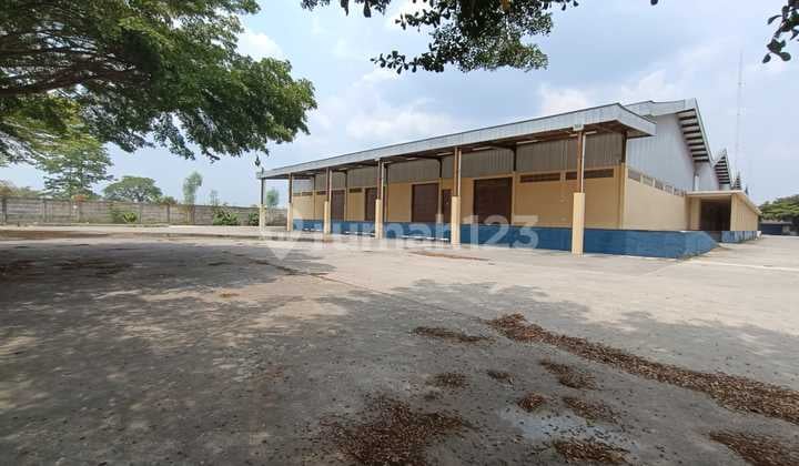 For Rent Good Warehouse Ready to Use in Ngemplak Boyolali Near Toll Road