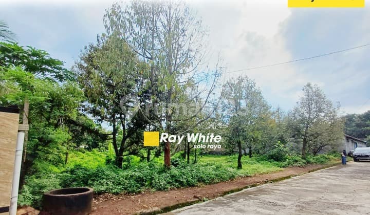 Tanah Bonus Kebun Durian di Nogosari Boyolali Dijual Harga Murah