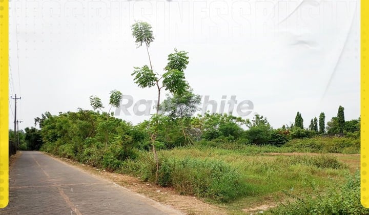 Dijual Tanah Hook Harga Murah di Jepara Dekat Wisata Pantai