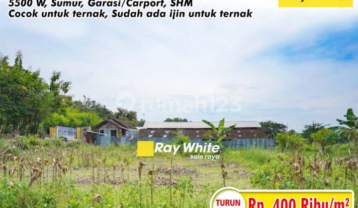 Dijual Tanah Di Gondangrejo Harga Sangat Murah Cocok Untuk Ternak