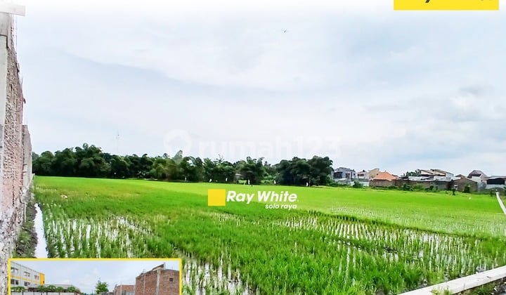 Tanah Zona Kuning di Kartasura Cocok untuk Pengembangan Perumahan