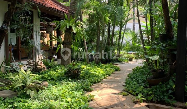 Large and Lush House in Sector 8 Bintaro