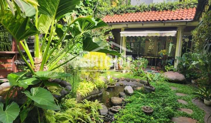 For Sale: Beautiful House in Bintaro Sector 3