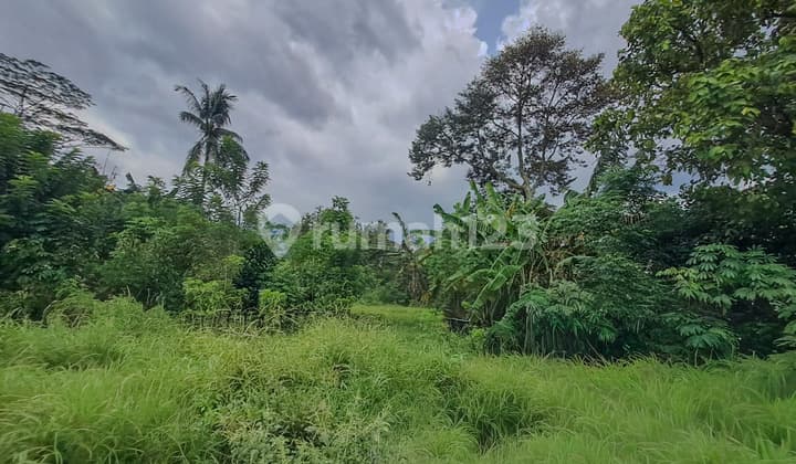 Tanah Strategis Dekat Cibeuteung Udik Ciseeng Bogor Akses Ciputat