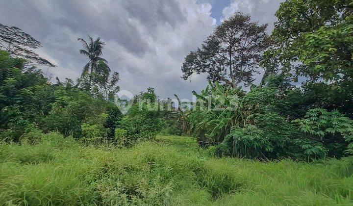 Tanah Strategis Dekat Cibeuteung Udik Ciseeng Bogor Akses Ciputat