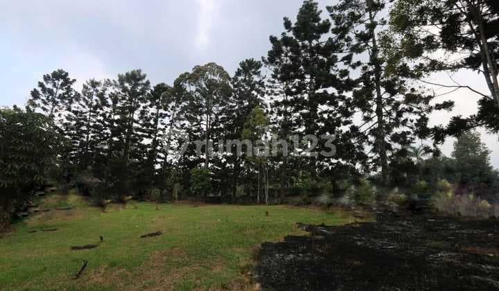 Villa land calculation with a beautiful view in Puncak Cimacan Cipanas