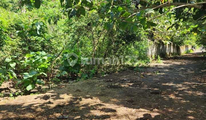 Land for Sale 5000 m2 Near Savaya Beach Pecatu Badung Bali