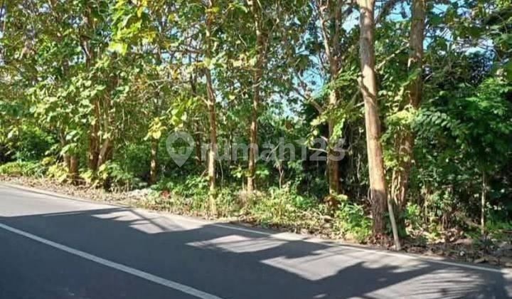 Kutuh Badung Ocean View Land Sale 1500 M2