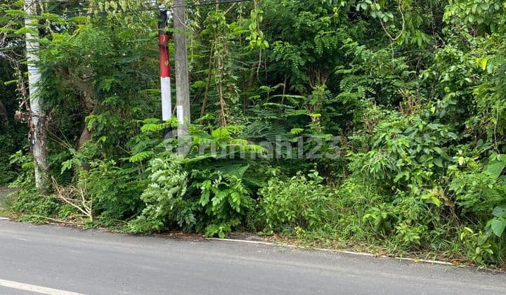 Land For Lease Ocean View Pecatu Badung Bali 4600 m2