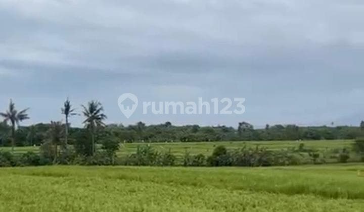 Cemagi Near Beach Land Lease 6900 M2 Badung Bali
