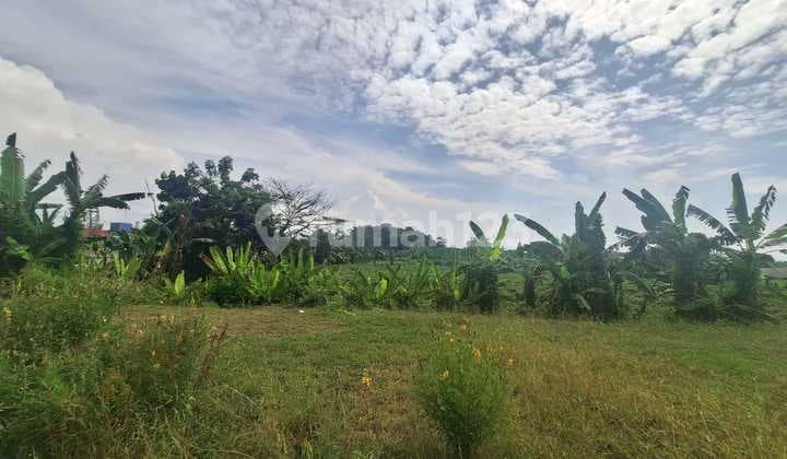 Dijual Tanah Dalam Zona Industri Demangharjo, Tegal