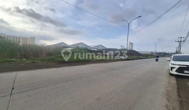 For Sale: 8 Hectares of Land on Jalan Pelabuhan Kendal, Wonorejo