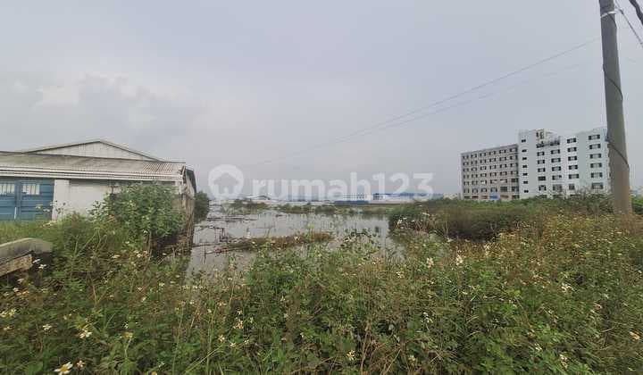 For Sale Land on Jl. Pelabuhan Kendal, Wonorejo, Kendal