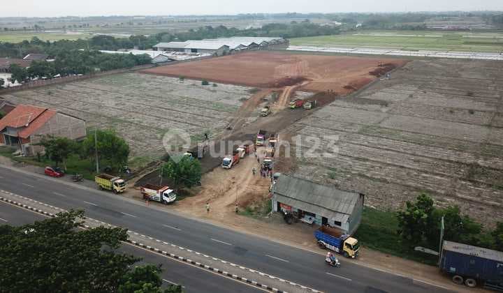 For Sale Industrial Zone Ready-to-Build Land on Pemalang Ring Road.