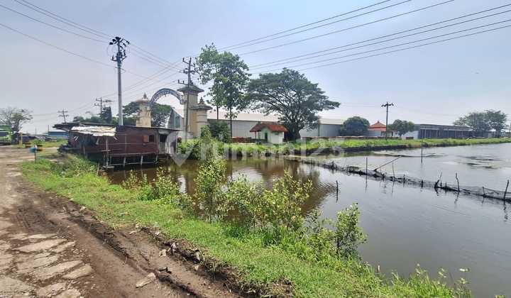 For Sale: Land in Kaliwungu Industrial Zone, Kendal