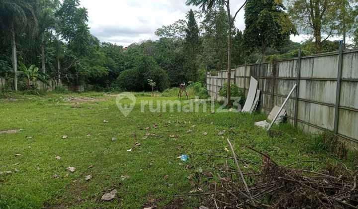Tanah atau Lahan Kosong Cocok untuk Kos-Kosan di Dekat Pintu Belakang Kampus Ipb Dramaga Bogor