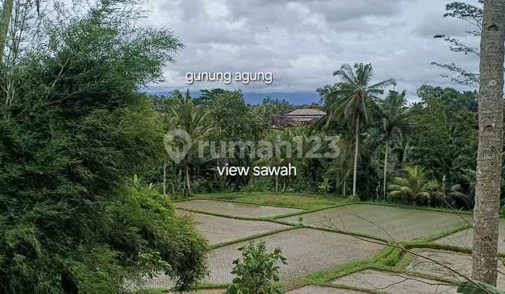 Di Sewakan Tanah Pemandangan.hamparan.sawah.dan.gunung Agung