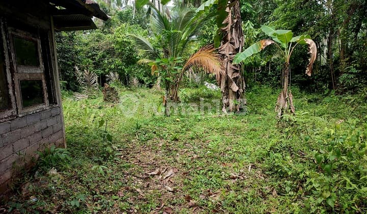 Freehold Cheap Land Tabanan