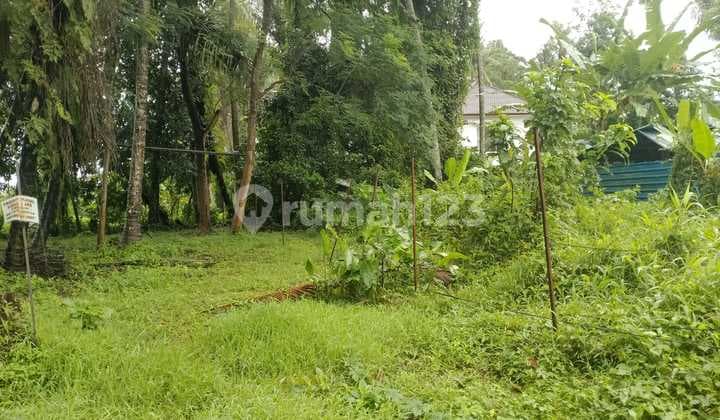 Land For Sale.tanah di Ubud Luas 3 Are