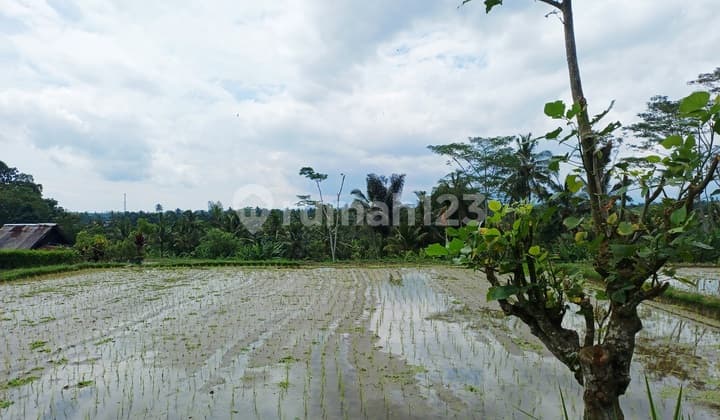 Pasti Deall.tanah Cantik di Tegalalalng Ubud