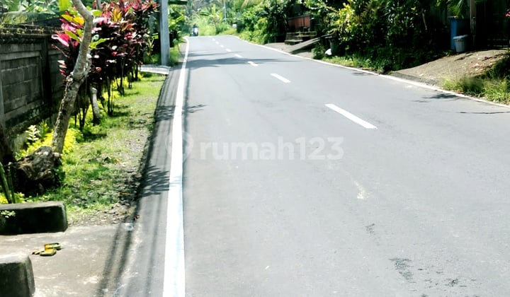 Land For Sale Dekat Ubud Kota