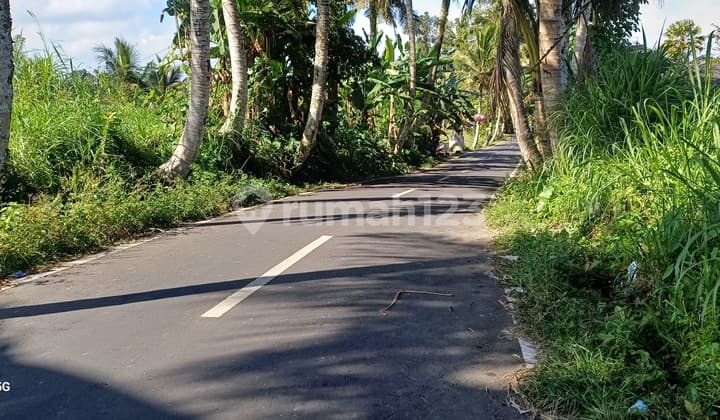 Tanah Murah 15 Menit Ke Kota Ubud.link Vila