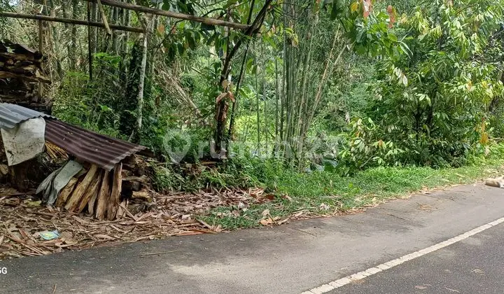 Tanah Murah Di Ubud Area