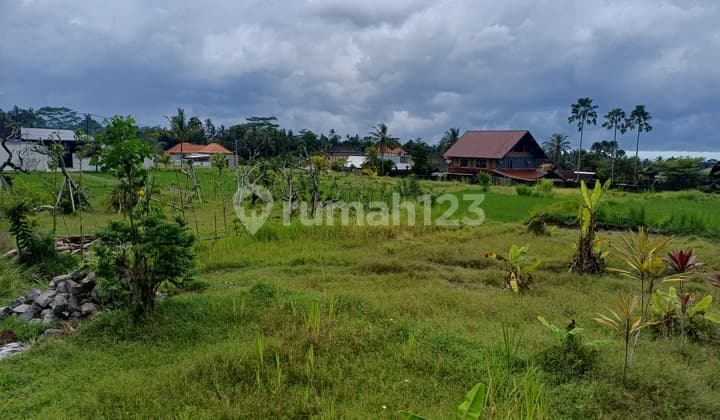 Jual Tanah Murah Dekat Ubud