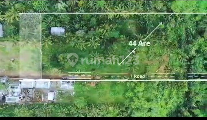 Tanah 45 Are View Lembah.sawah dan Sungai Kecildi Tegalalang Ubud