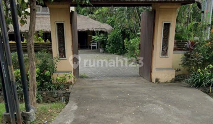 Freehold Tanah 2 Km ke Pantai Celukan Bawang 3Menit ke Pantai ******** Vila