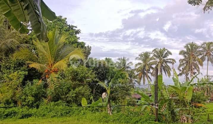 Preehoold Tanah Cantik di Ubud Tegallalang