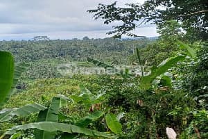 Tanah 1.39 Hetar Sangat Strategisdisewakakan Potensi Tinggi .Cocok untuk Komplek Vila