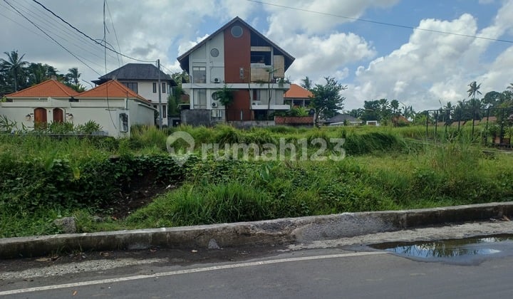 Di Jual Tanah Pinggir Jalan Zona Ping di Ubud