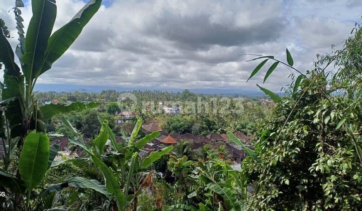 Tanah Sewa Murah Dekat Ubud ******** .gunung ********