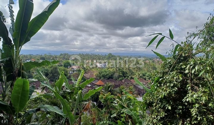 Tanah Sewa Murah Dekat Ubud ******** .gunung ********