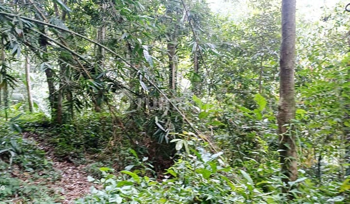 Tanah Sewa Murah.20 Menit Ke Ubud.kota Zona Coklat