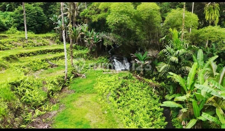 Dijual atau Sewa Dekat Ubud