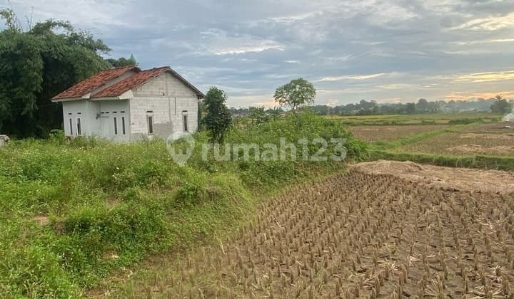 DIJUAL TANAH PADAT SAWAH LEGOK TANGERANG
