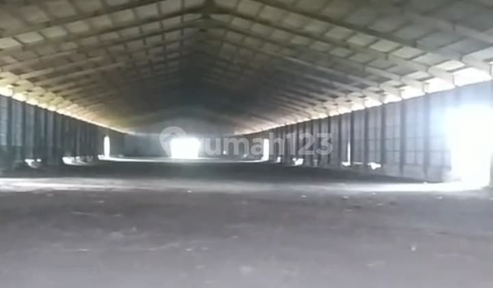 Gudang Strategis Butuh Renovasi Area Kaliwungu Kendal