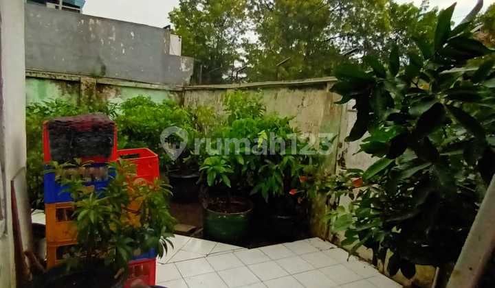 Rumah Lama Butuh Renovasi Area Mrican Semarang