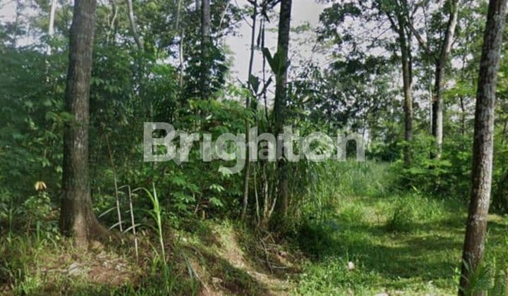 TANAH DATAR SIAP BANGUN AREA ARGOMULYO SALATIGA