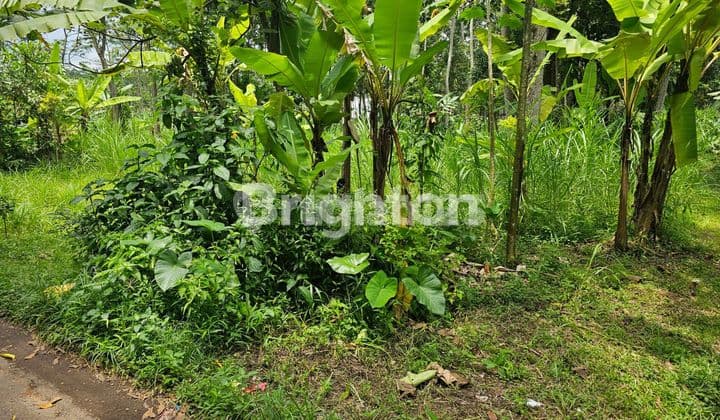 TANAH DATAR SIAP BANGUN NOBOREJO SALATIGA SEMARANG