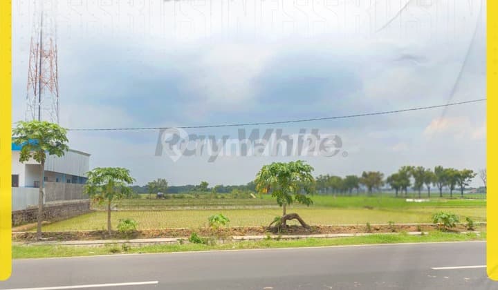 Tanah Komersial Sangat Luas (Lebar Depan 59m) Tepi Jalan Raya di Demakan, Mojolaban Rp.7,000,000,000