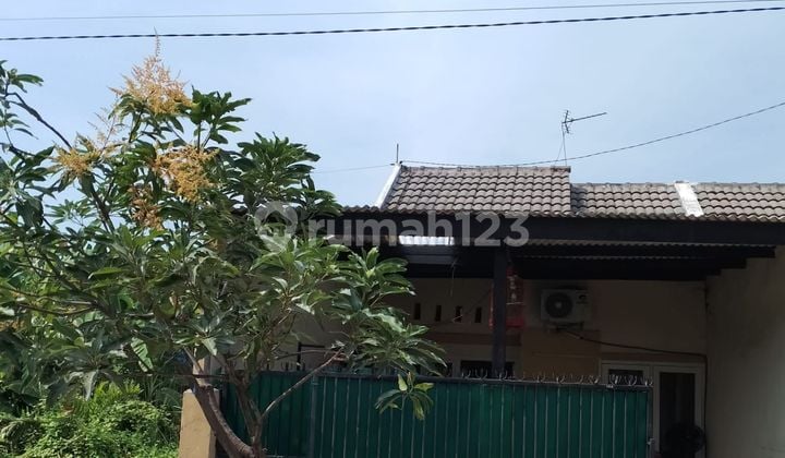 Rumah 1 Lantai Murah di Rungkut